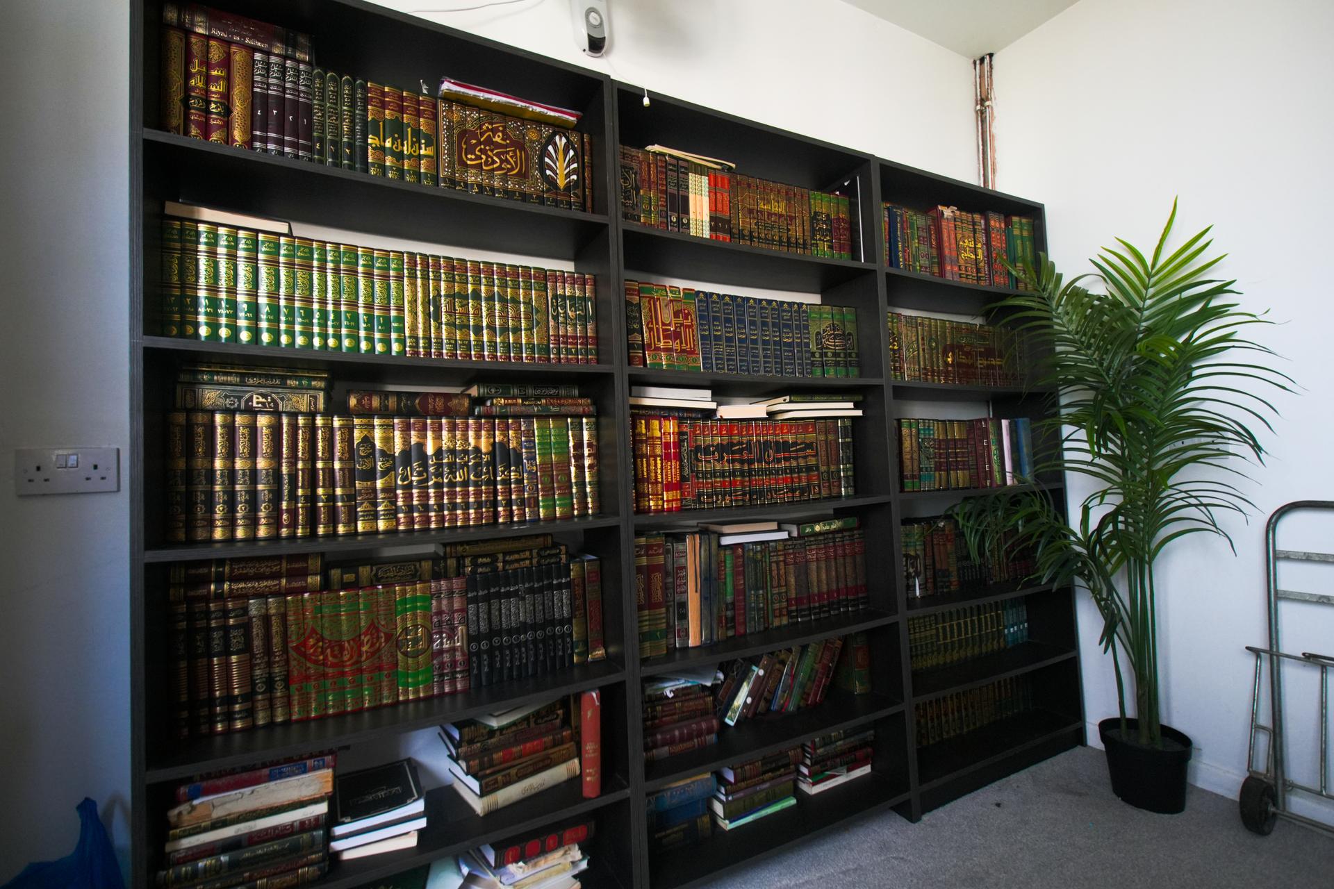 Floor-to-ceiling shelves of Arabic books, with a plant in the corner